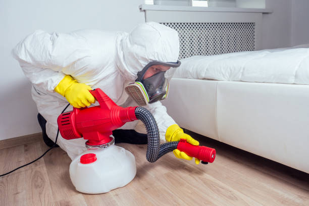 Best Pest Prevention Services  in Elmhurst, IL